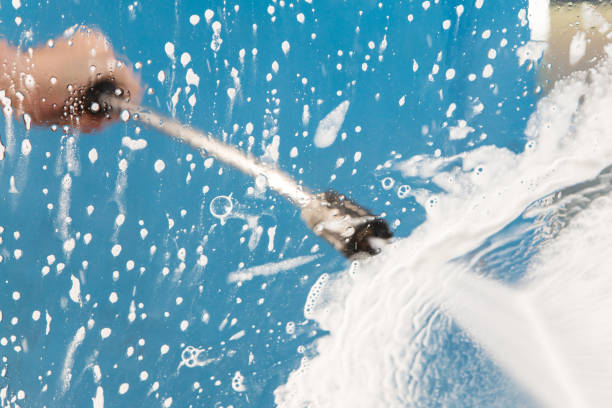 Animal Enclosure Cleaning in Newport, KY